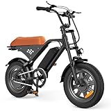 isinwheel Electric Bike for Adults,16