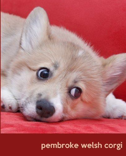 Pembroke Welsh Corgi carnet de notes pour organiser votre quotidien de dog lover