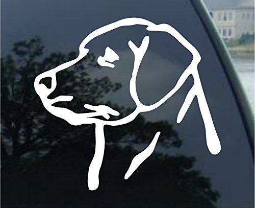 Lab Head - Dog - Puppy pup Labrador Retriever Hunt Fun Sticker Decal (5.5", White)