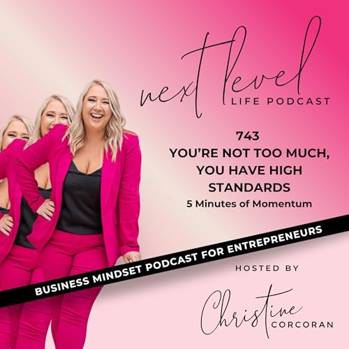 743 You&rsquo;re not too much, you have high standards - 5 Minutes of Momentum