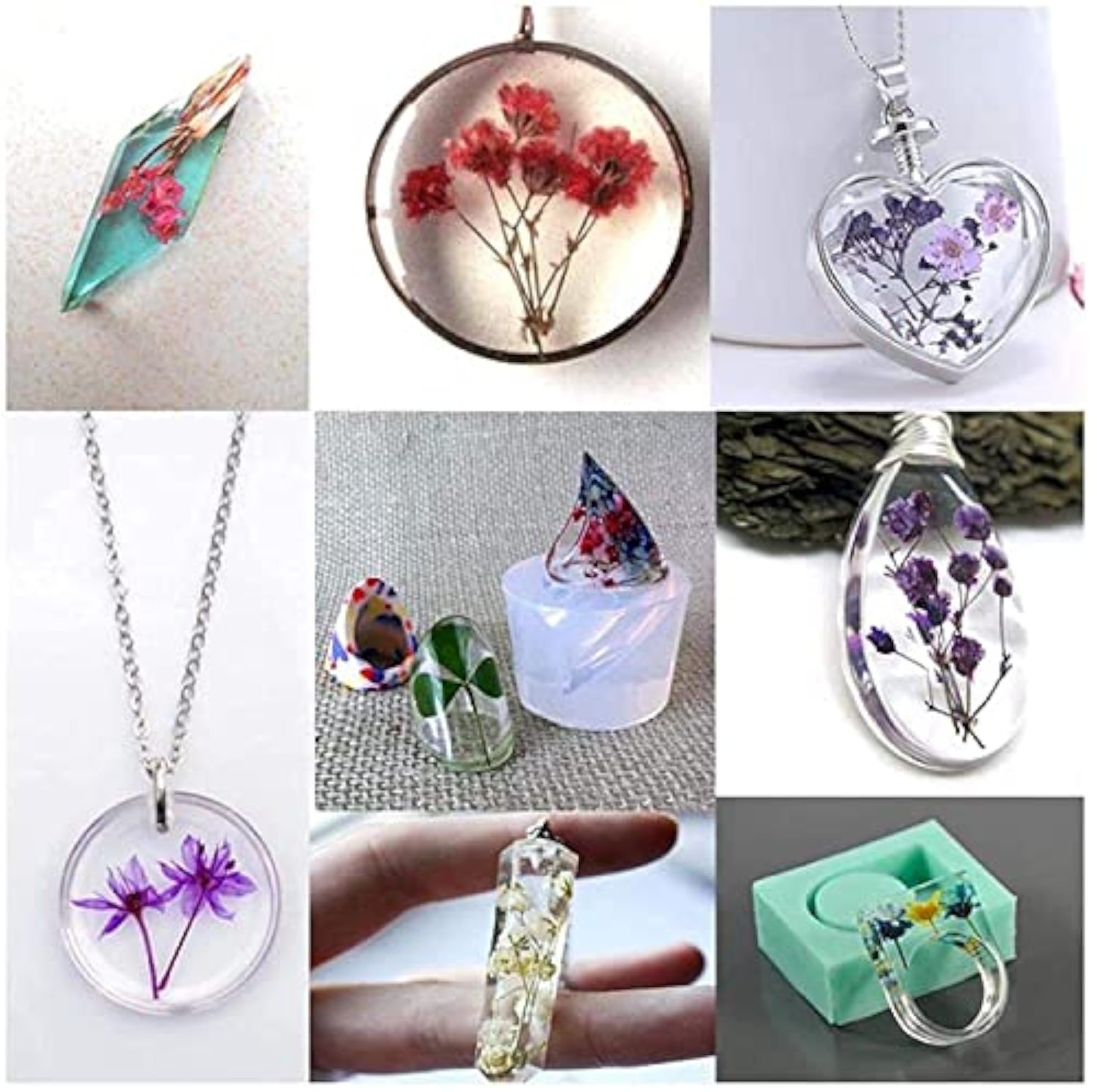 Natural Real Dried Flowers for Art Craft