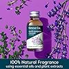 Grove Co. Multi-Purpose Cleaner, Refill Concentrate (2 x 1 Oz) + Glass Spray Bottle (16 Oz), Plant-based Household Cleaning Supplies Bundle, No Plastic Waste, Natural Lavender Blossom & Thyme Scent #1