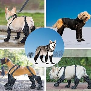 Dog Paw Boot Leggings | Dog Boots & Paw Protectors | Suspender Boots for Dogs | Waterproof Dog Boots Anti-Slip Dog Shoes | Dirty Proof Dog Outdoor Walking Running Hiking Suspender Boots (L) Dog Paw Boot Leggings | Dog Boots & Paw Protectors | Suspender Boots for Dogs | Waterproof Dog Boots Anti-Slip Dog Shoes | Dirty Proof Dog Outdoor Walking Running Hiking Suspender Boots (L)