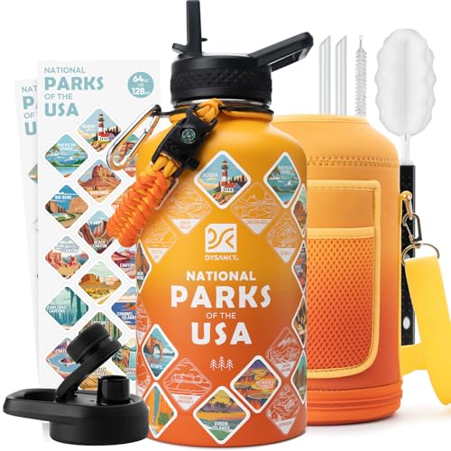 Insulated Water Bottle | Thickened Stainless Steel Vacuum Metal | Portable Sports Half Gallon Large Water Jug for Gym and Hiking with Straw, Carrier Bag, Handle Strap | BPA-Free 64 oz