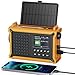 Radio Portatile DAB +/DAB/FM, Energia Solare e Manovella con...