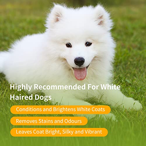 Nobleza Hundeshampoo weißes Fell - Optimale Fellpflege bei hellem & weißen Fell,Hundeshampoo für Weisse Hunde Hund Shampoo Malteser, Havaneser und Bichon 250ml