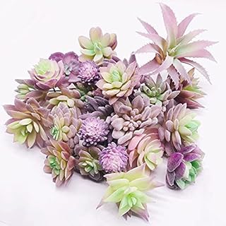 Woohome 20 PCS Artificial Succulent Plants, Green Fake Succulent, Unpotted Faux Succulent Assortment in Flocked Blue in Different Type for Birthday Home Decor Indoor Wall Garden DIY