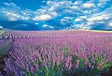 Puzzle en Bois de Champ de Fleurs de Lavande 1000 pièces, Enfants, Dessin animé, Jeux d'anime, Carte Blanche Verticale Jouets éducatifs pour Enfants Adultes