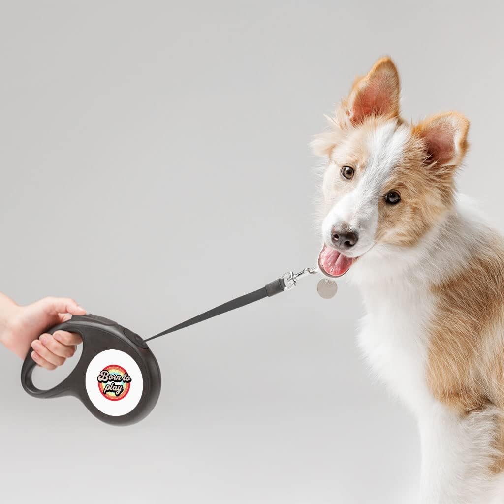 Born to Play Retractable Pet Leash - Retro Leash - Themed Dog Leash - 118 inches