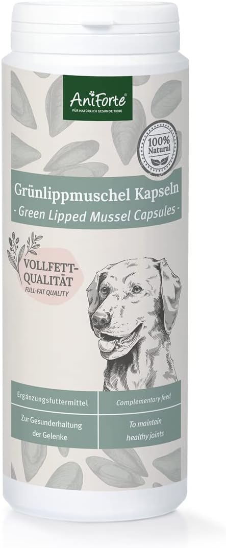 AniForte Green Lipped Mussel for Dogs and Cats 500mg x 300 Capsules - 100% Natural Joint Supplement with Glucosamine, Lipids, Omega-3 Fatty Acids, Minerals and Amino Acids