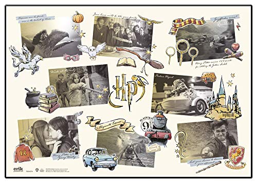 Grupo Erik TSEH374 - Vade escolar Glasses, Harry Potter (49,5x34,5 cm)