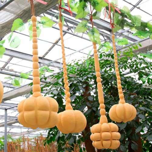 semillas de calabaza de botella - exóticas jardín variedades 200pcs