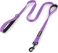 Vista 21 de Correa de perro de doble asa Plutus Pet de 6 pies, correa resistente con doble asa reflectante para entrenamiento de seguridad, para perros medianos