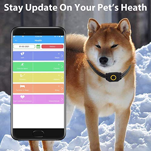 O-CONN-GPS-Dog-Tracker-Health-and-Location-Tracker-for-Dogs-Waterproof-Dog-Tracking-Smart-Collar-Device-4G-LTE-US-Coverage-Nationwide