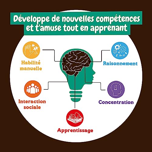 Science4you - Kit de Fouille de Fossiles 4 en 1 pour Enfants 5 6 7 8 9 10 Ans - Excaver et Assembler 4 Dinosaures: T-Rex, Triceratops, Velociraptor et Stegosaurus - Jouet Idéal pour Filles et Garçons – vue 9