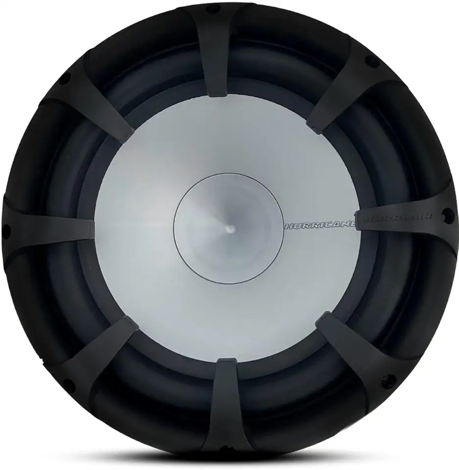 Subwoofer Class 10" Polegadas Hurricane 250W RMS Telado