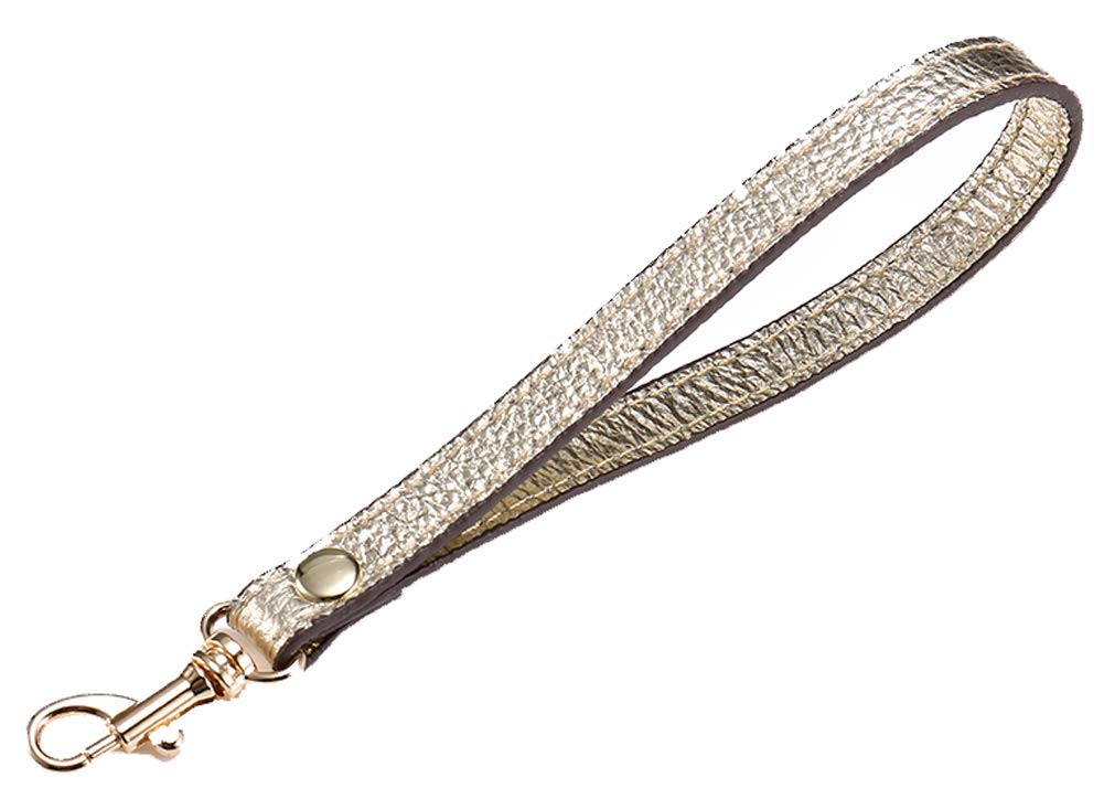 DRAGON SONIC Wristlet Wrist Bag Strap Replacement for Clutch Purse Handbag,Silver