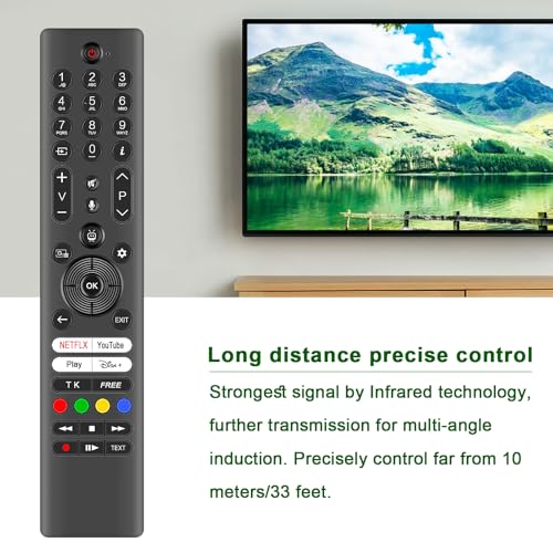 Télécommande vocale RC45195T Panasonic contrôle micro intégré - 4