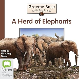 A Herd of Elephants cover art