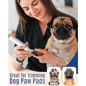 Oneisall Dog Clippers with Double Bladescordless Small Pet Hair Grooming Trimmerlow Noise for Trimming Dogs Hair Around Paws Eyes Ears Face Rump white  Cucciolini Doodles Oneisall dog clippers with double bladescordless small pet hair grooming trimmerlow noise for trimming dogs hair around paws eyes ears face rump white   cucciolini doodles