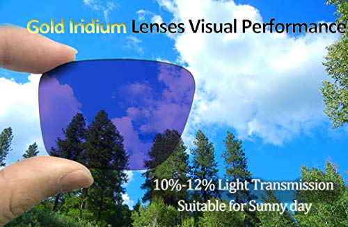 Image of Polarized Lenses Replacement for Oakley Frogskins Sunglasses OO9013