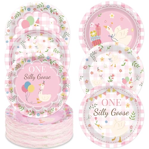 60 Pcs One Silly Goose Paper Plates Party Supplies Silly Goose Pink Gingham Birthday Decorations for Baby Shower Kids Birthday Family Picnic Camping Garden Tea Parties 6 Styles