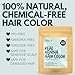 Black Henna Hair Color Dye - Natural Hair Dye for Women - Organic Hair Dye Without Chemicals - Safe for Sensitive Scalp, All Natural, Ammonia and PPD Free, One Step Process, 100g by Ouiloe