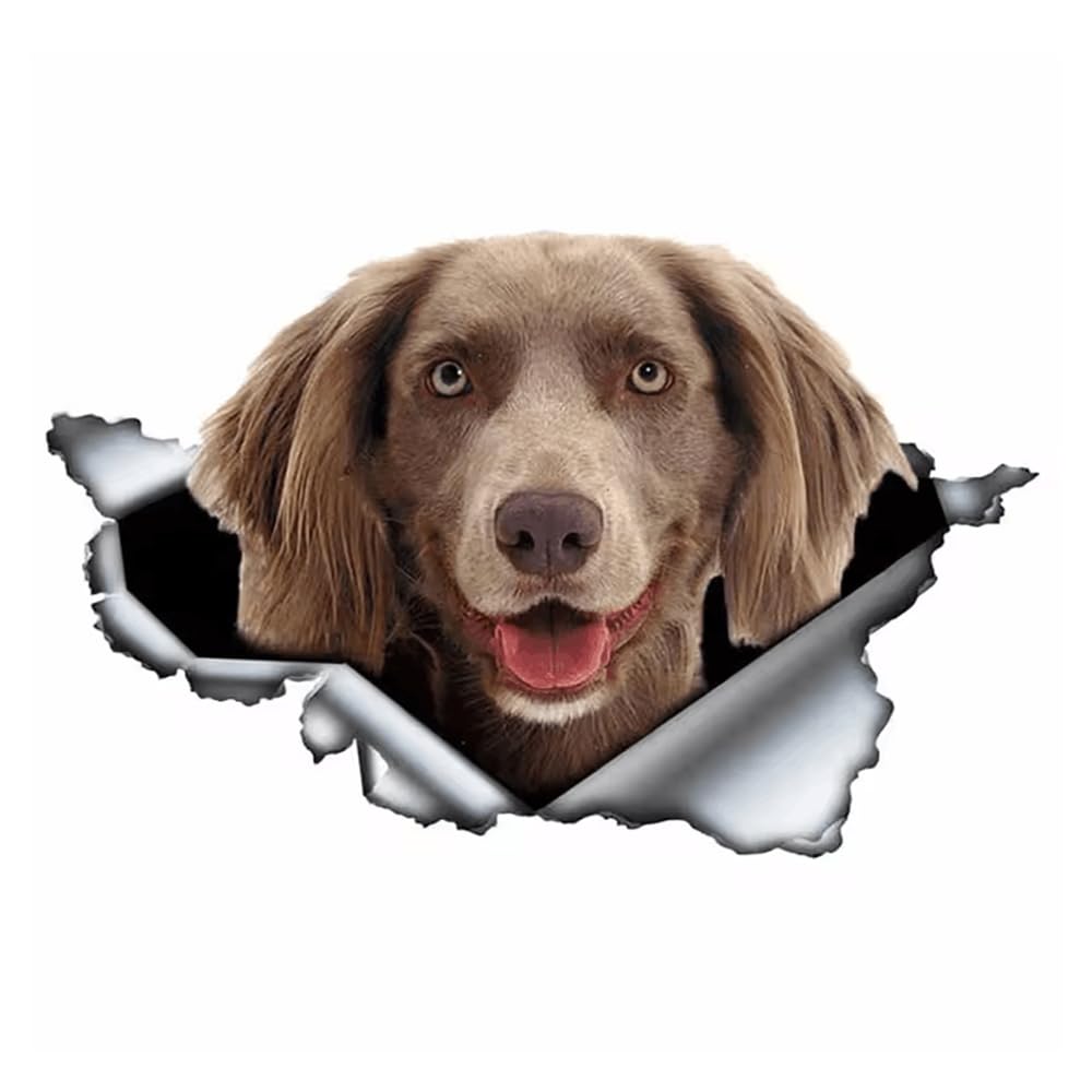 Weimaraner Hund Aufkleber, Wasserfest Reflektierend, 3D Durchbruch-Design für Auto, Laptop, Kühlschrank, Stoßstange, Fenster (15cm/5.9 Inch)
