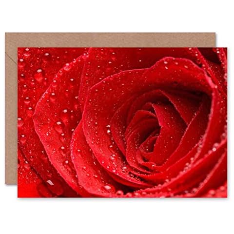 Wee Blue Coo Beautiful Red Rose Card Cover