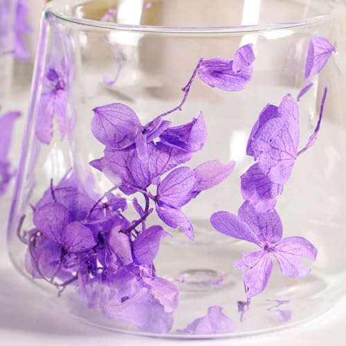 Image of Nestasia Double Wall Glass Mug with Dried Flowers Set of 2 (180ml Each) - Transparent Borosilicate Floral Glass Tea Cups | Lightweight & Durable Coffee Mugs - Perfect for Gifting (Purple)