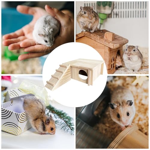 Accessoires de cage hamster avec labyrinthe et échelle de jeu