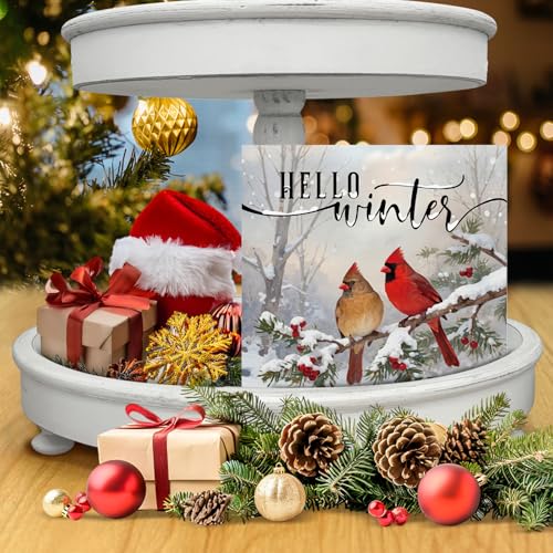 Image of Winter Cardinal Decor, Hello Winter Wood Box Sign, Farmhouse Christmas Home Office Decorations for Desk Table Shelf 5 X 5 Inches