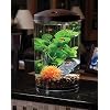 Koller Products AquaView 3-Gallon 360 Aquarium with LED Lighting (7 Color Choices) and Power Filter, 10.25 x 10.25 x 14…