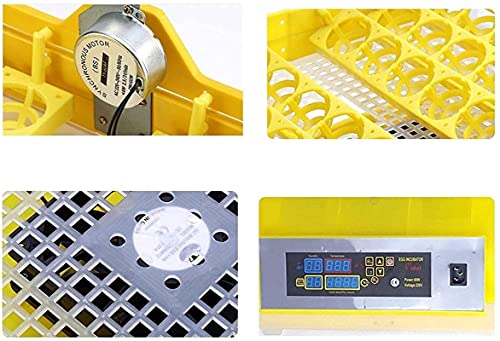 Automatische ei-incubator, 48 eieren geleid hoog-efficiëntie automatische temperatuurregeling, automatische ventilatie… - Afbeelding 6