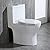 WOODBRIDGEE Modern Elongated One piece Toilet Dual flush 1.0/1.6 GPF,with Soft Closing Seat,1000 Gram MaP Flushing Score,white,T-0032
