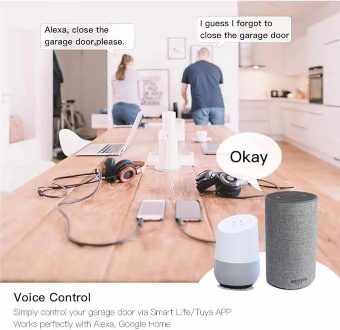 Voice Control with Alexa and Google Home