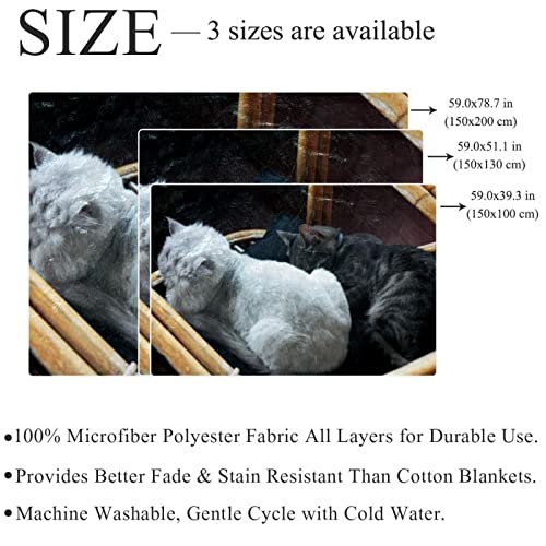 Couverture en peluche microfibre douce motif chats finitions de qualité