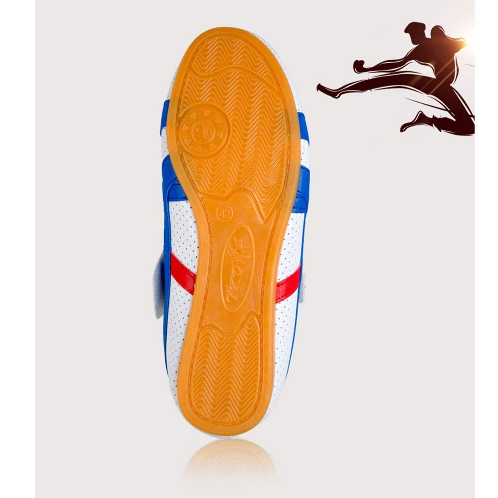 Meng Zapatillas de Taekwondo Antideslizantes Zapatos de Artes Marciales (Color : White, Size : 42)