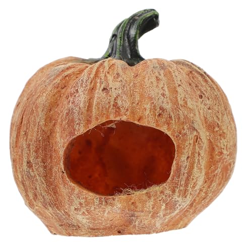 Toddmomy ^ybgpJ{`^B ঒ރVF^[ fސ RXgPCu @\xe ঒ރ^Np