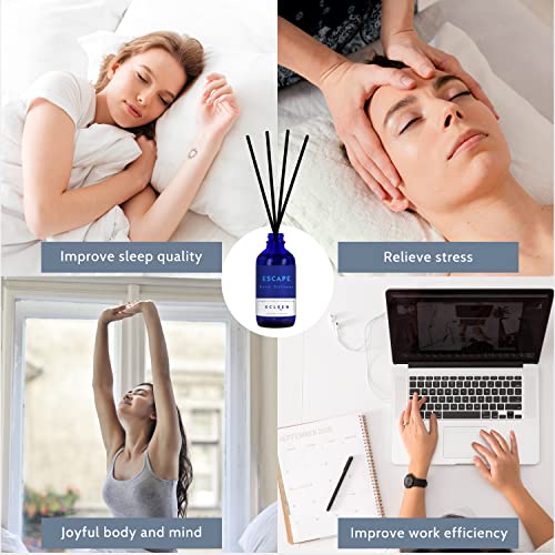Xcleen XCLEEN01 Reed Diffusers Set, 3.7 Oz Scent Diffuser, 6 Reed Diffuser Sticks, Home Fragrance Hyacinth, Peony & Citrus, Aromatherapy Oil Diffuser Reeds, More Masculine Scent, Bathroom & Office Decor 110Ml thumb #5