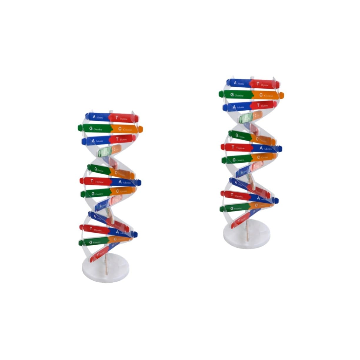 SAFIGLE 2 Sets Dna Double Helix 3d Model of Dna Classroom Teaching Aids Dna Assembling Model Dna Molecular Model Dna Helix Model Human Body Model Kid Toys Dna Model Child Suite Gene Paper
