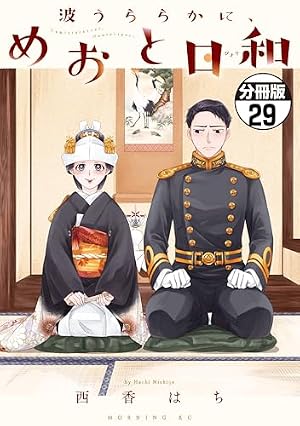 ブックカバー 波うららかに、めおと日和　分冊版（２９） (コミックＤＡＹＳコミックス)