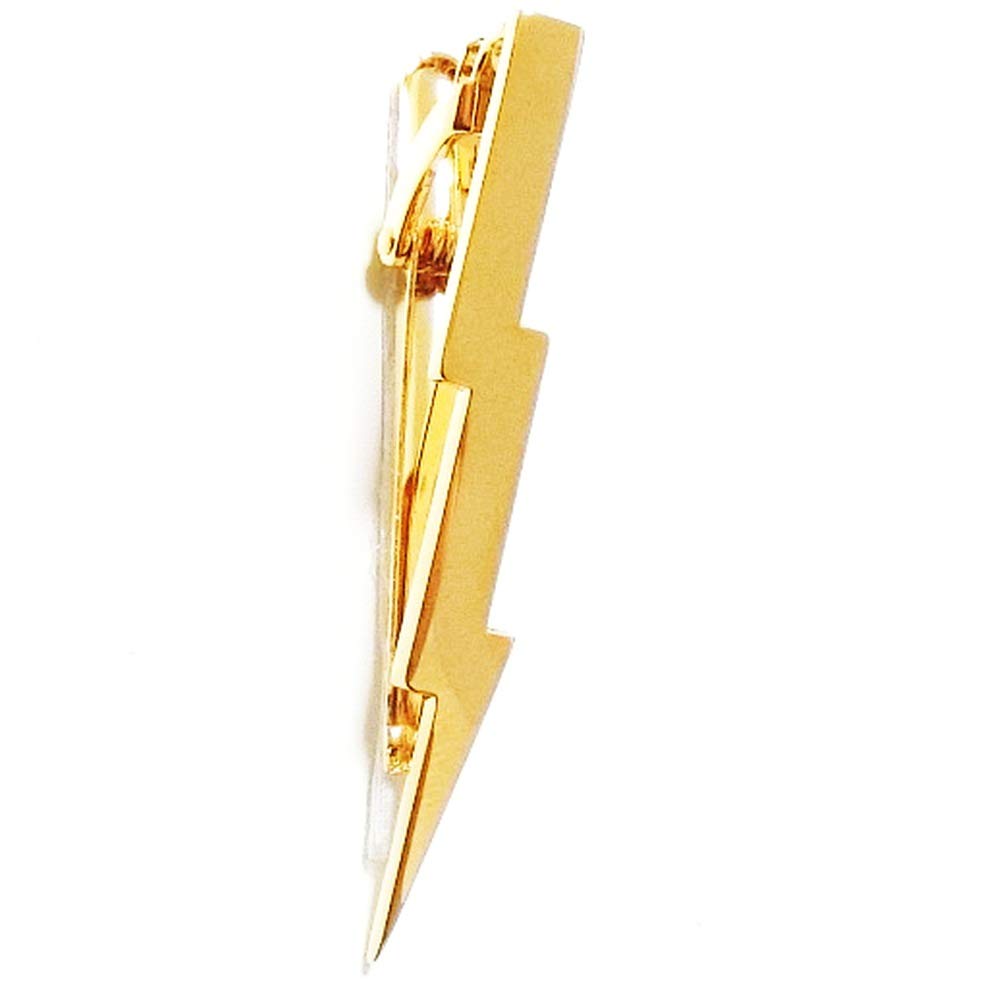 ネクタイピン 金 メンズ アクセサリー ネイル？ ゴールド 1222-S659h ネクタイピン 金 メンズ アクセサリー ネイル？ ゴールド 1222
