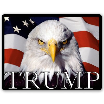 AK Wall Art Trump for President 2016 Eagle Vinyl Sticker - Car Window Bumper Laptop - Select Size