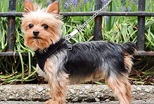 Tame Love™ Natural Cotton Dog Rope Training Leash Cord with Comfortable Handle for Small Puppies of All Breeds with Strong and Durable Cast Hook (6mm) Colours May Vary 2