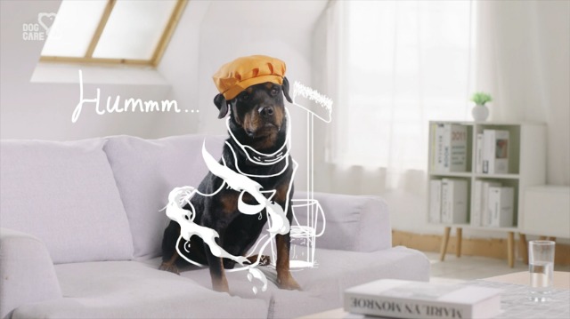 DOG CARE Dog Training Collar -Dog Shock Collar with Remote Provides 3 Training Modes, Beep, Vibration and Shock, 1000 FT Contral Range Dog Shock Collar for Small Medium Large Dog, Safety Keypad Lock - Image 8