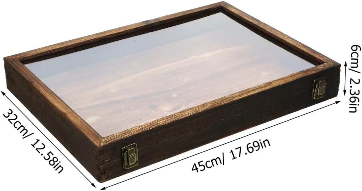 Ciieeo Wooden Insect Display Case Critter Keeper for Live Bugs Bug Collection Box