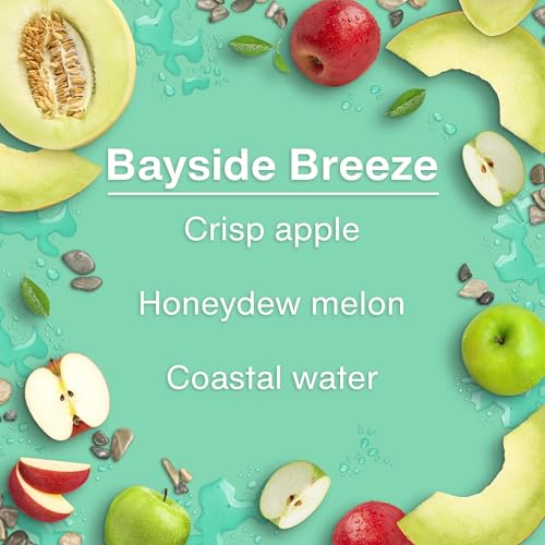 Image of LITTLE TREES Car Air Freshener | Hanging Tree Provides Long Lasting Scent for Auto and Home | 24 Air Fresheners |Bayside Breeze