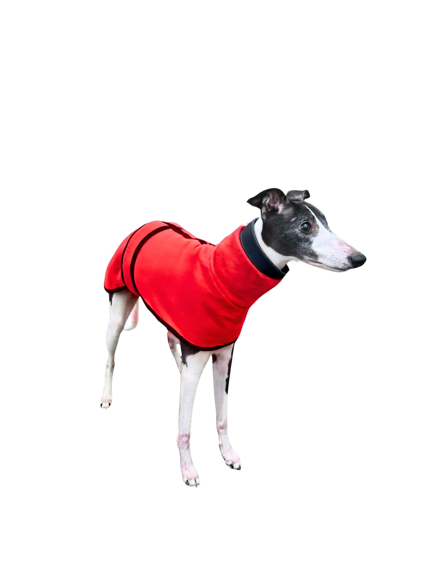 Whippet Coat – Fleece Dog Jumper, 20” Back Length, Warm Winter Sighthound Jacket (Red)