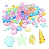 TIDTALEO アクリル製カラフル海洋生物模型 貝殻モデル 水槽アクセサリー 用プールダイビングおもちゃ 誕生日パーティーデコレーション用